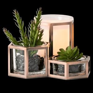 Scentsy Wild Desert Warmer